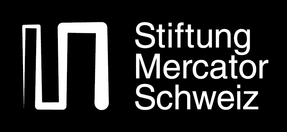 Stiftung Mercator SChweiz