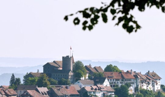 Regensberg, Stiftung Schloss Regensberg